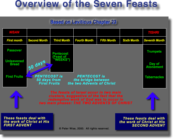 Charts On Feast Of Tabernacles Offerings